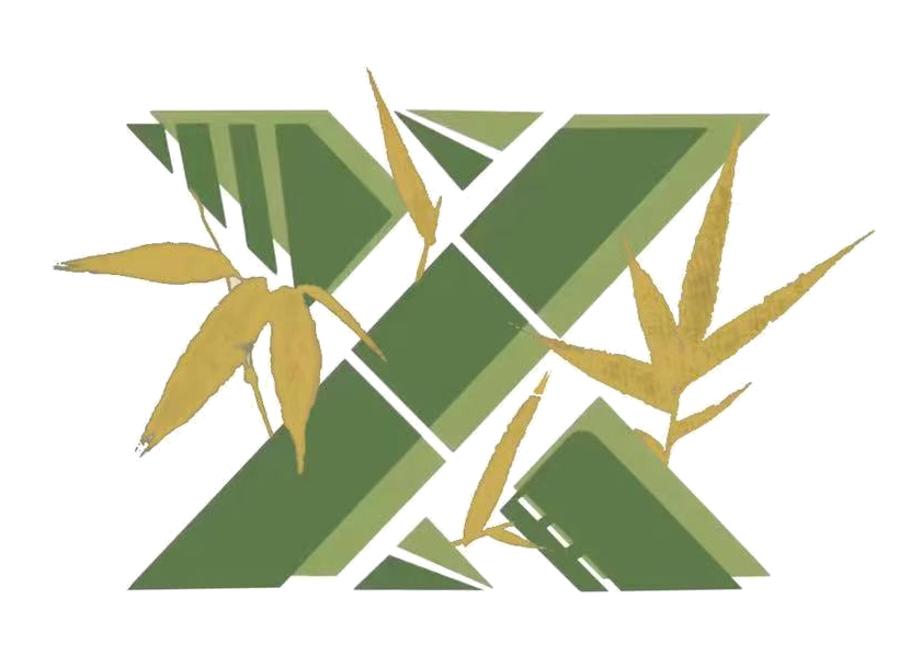新竹战队队标